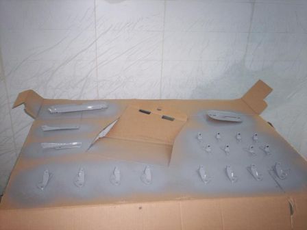 Ami6_Joel_diverses_pieces_en__peinture.jpg