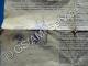 FANTASTIC DYANE: faisceau de branchement des feux additionnels Fantastic sur DYANE.50 euros.